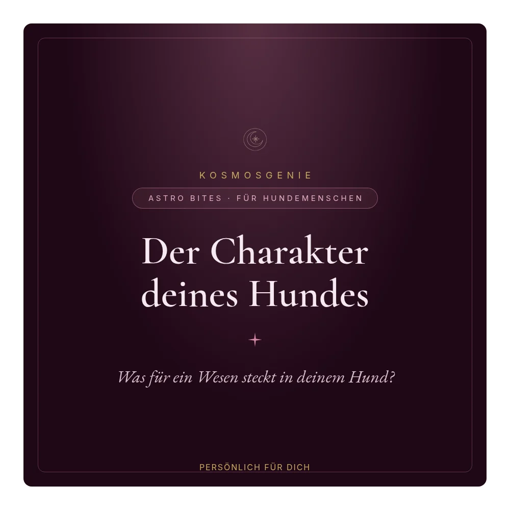 Charakter deines Hundes