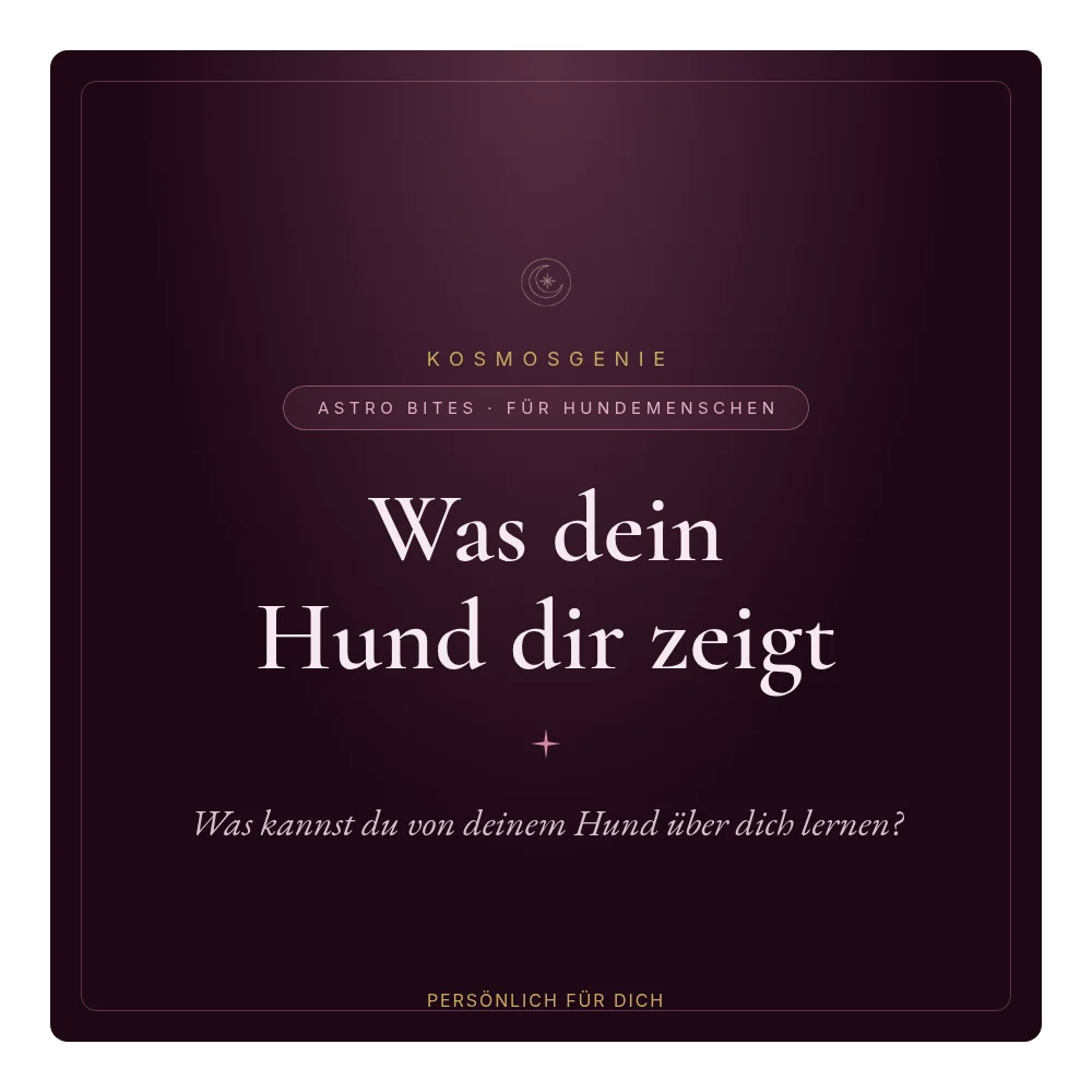 Was dein Hund dir zeigt