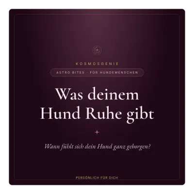 Was deinem Hund Ruhe gibt - Astro Bite von KosmosGenie