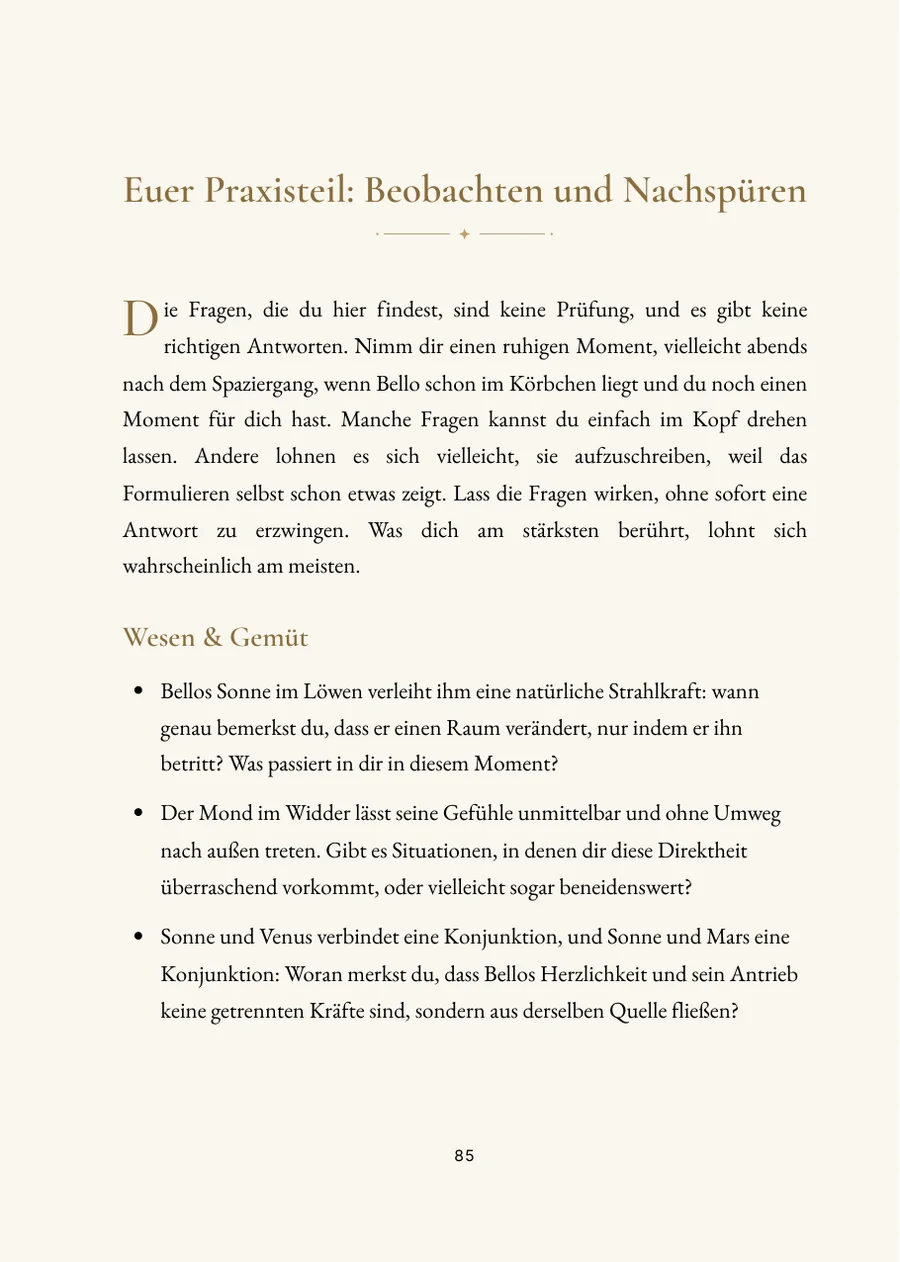 Hundehoroskop – Praxisteil mit Fragen