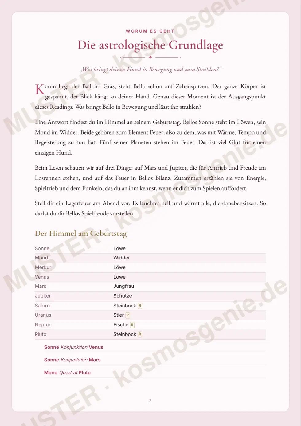 Astro Bite „Spiel und Energie deines Hundes“ - erste Seite mit der Ausgangslage aus dem Himmel am Geburtstag