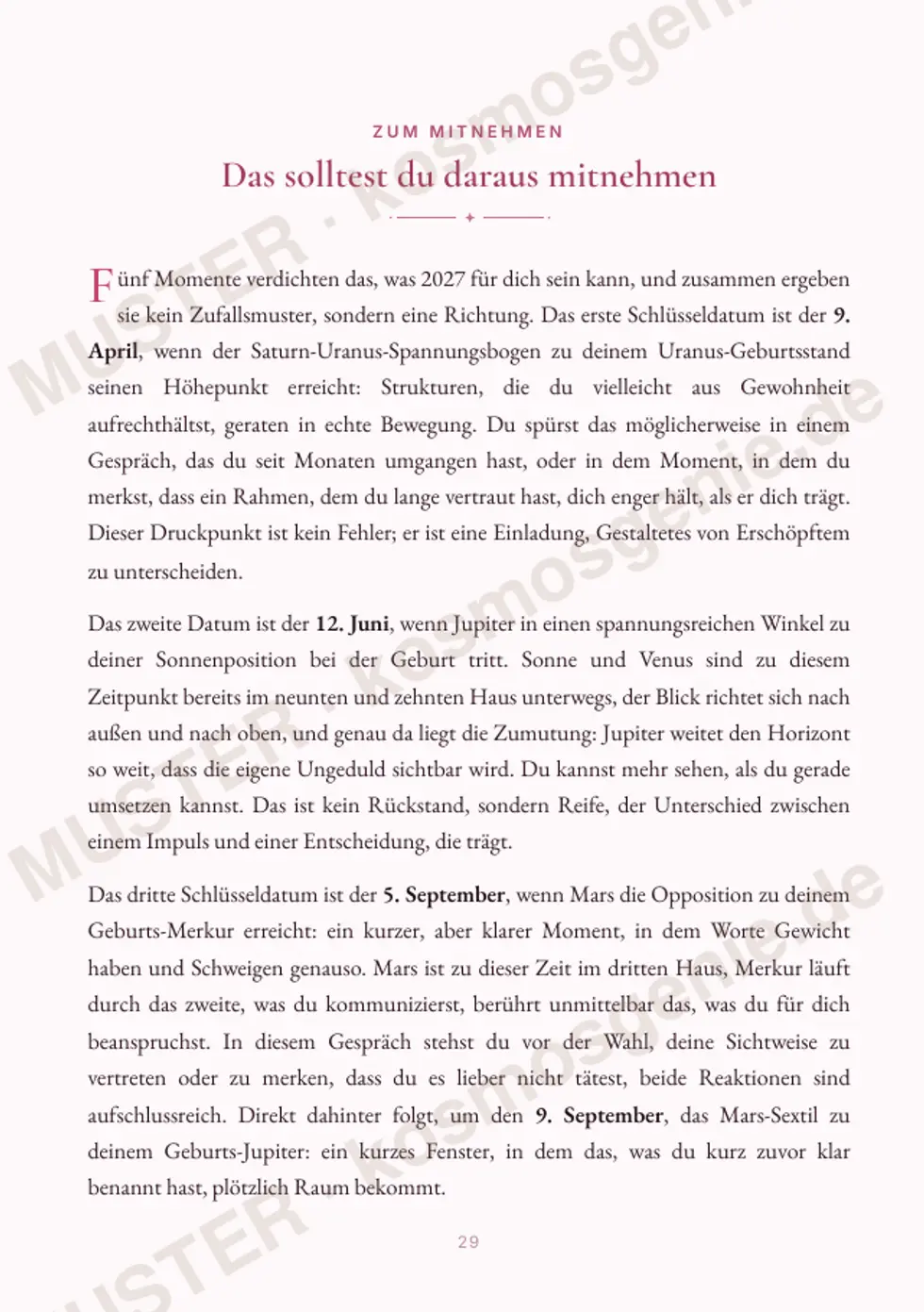 Astro Bite Premium „Dein 2027“ - Seite „Das solltest du daraus mitnehmen“