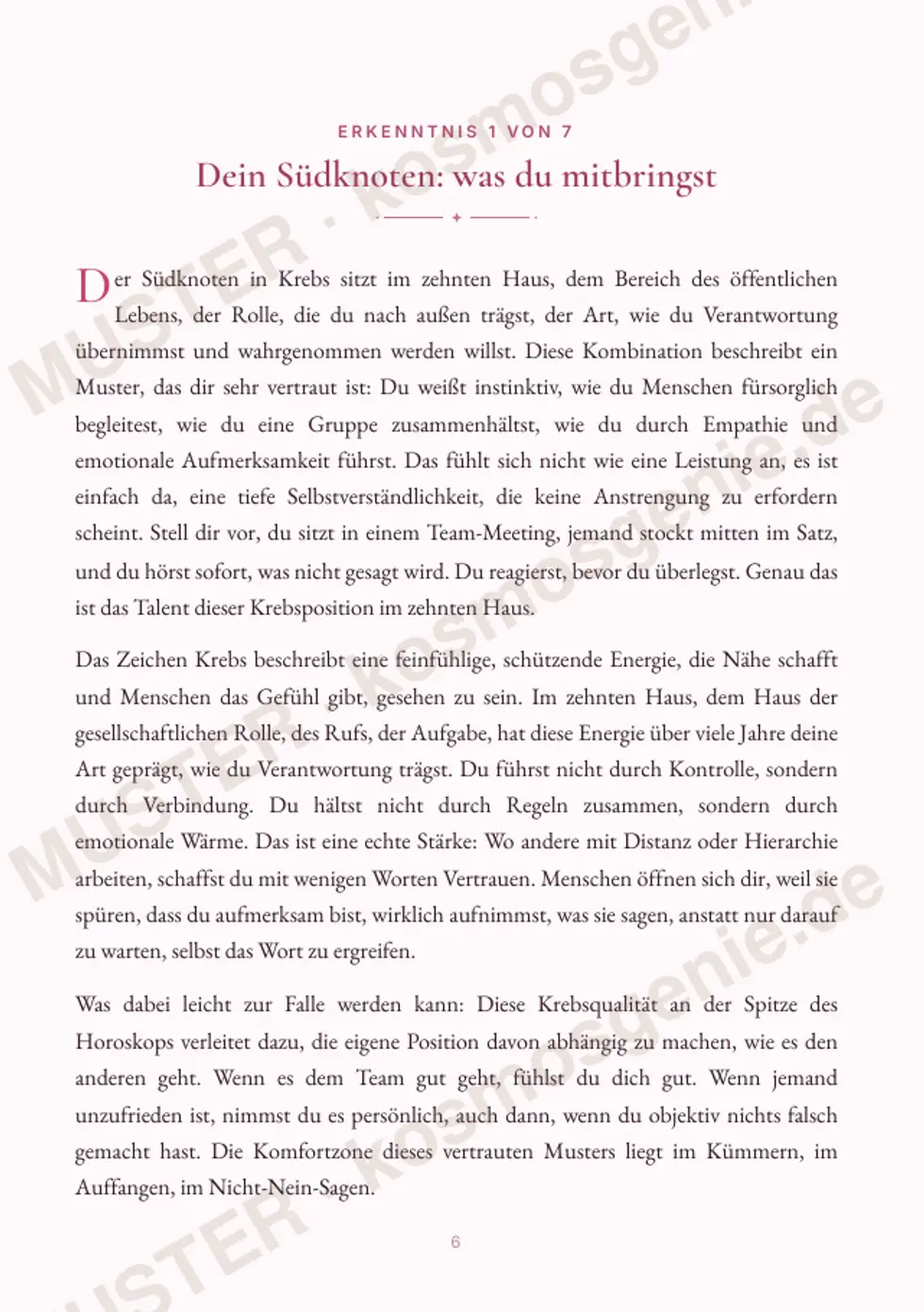 Astro Bite Premium „Deine karmische Richtung“ - erste Seite einer persönlichen Erkenntnis