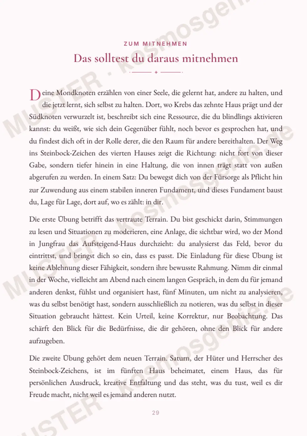 Astro Bite Premium „Deine karmische Richtung“ - Seite „Das solltest du daraus mitnehmen“