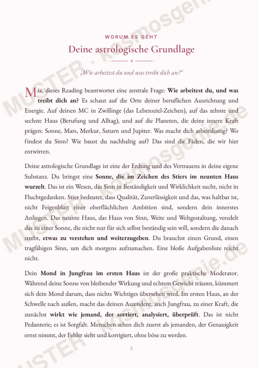 Astro Bite Premium „Dein Karriere-Code“ - erste Seite mit der astrologischen Grundlage