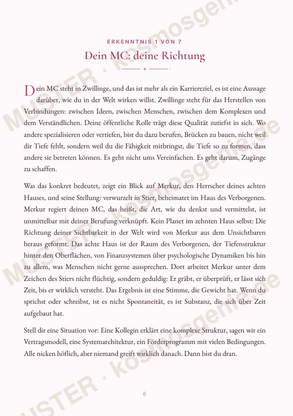 Astro Bite Premium „Dein Karriere-Code“ - erste Seite einer persönlichen Erkenntnis